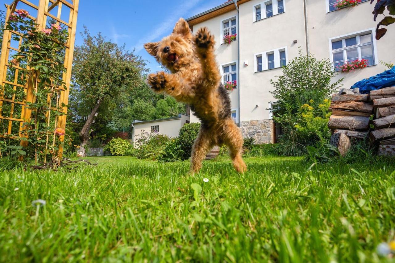 Apartmán Dom Pod Rybia Skala Jelení Hora Exteriér fotografie